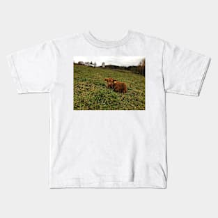 Scottish Highland Cattle Calf 1571 Kids T-Shirt